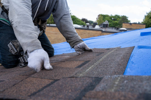 Quick and Trustworthy Emergency Roof Repair Services in Sloan, IA