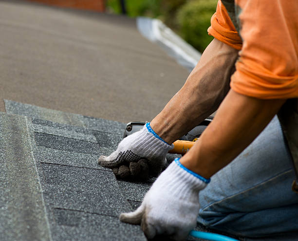 Best Roof Gutter Cleaning  in Sloan, IA