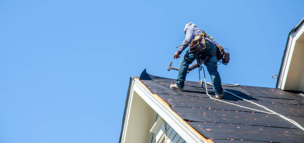 Best Roof Maintenance Services  in Sloan, IA